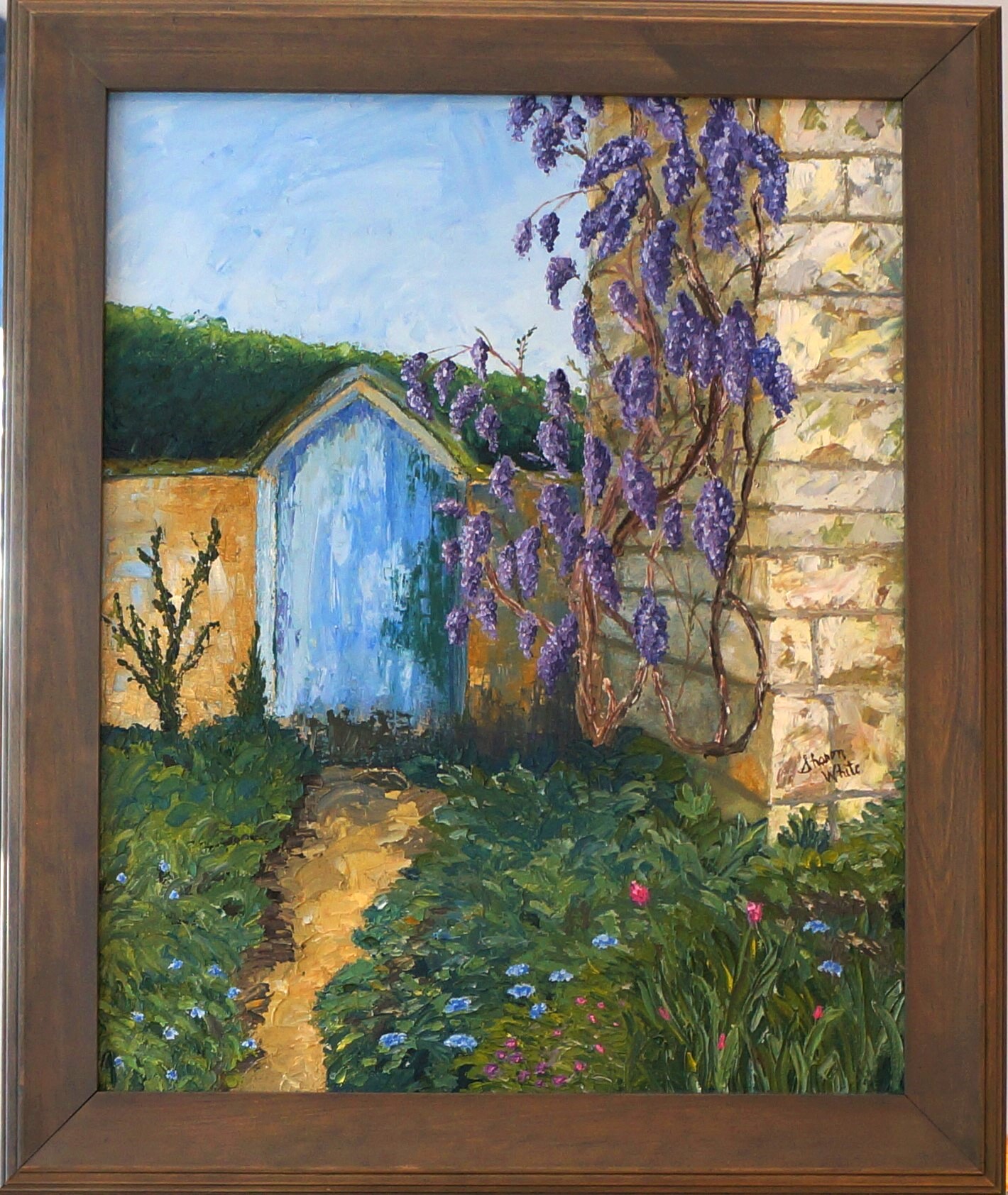 Wisteria in English Garden